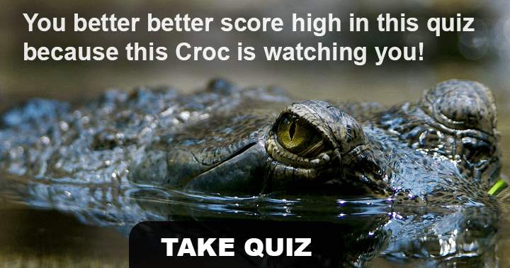 Are you a fan of animals? If so, this quiz is perfect for you.